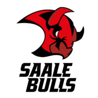 Saale Bulls